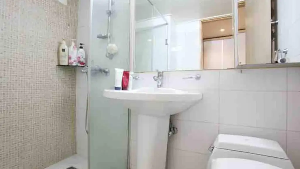 Medmost | История родов: в Казахстане гинекологи настаивали на аборте, а в Корее пациентка родила здорового мальчика bathroom в квартире рядом с больницей бунданг ча корея