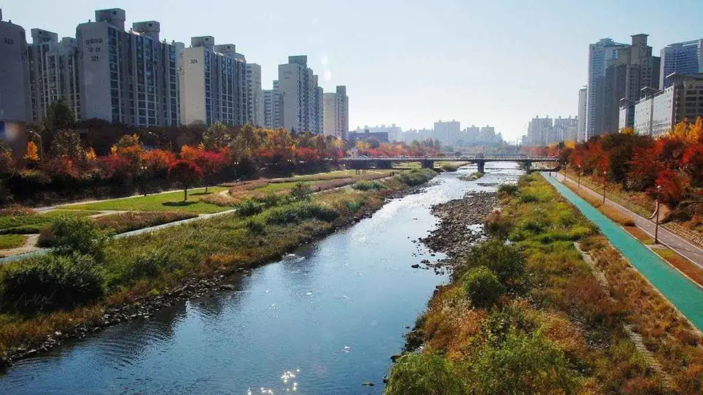 Medmost | История родов: в Казахстане гинекологи настаивали на аборте, а в Корее пациентка родила здорового мальчика История родов: в Казахстане гинекологи настаивали на аборте, а в Корее пациентка родила здорового мальчика